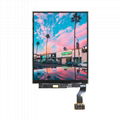 240*320 2.58" AMOLED Display DG-O240320-258A