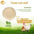 Yeast Cell Wall