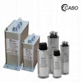 Cabo BKMJ series AC shunt power factor