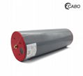 Cabo PPA high voltage pulse grade capacitor