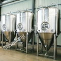 PrevNext 30 Barrel Beer fermentation