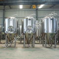 1000L Beer Fermentation Tank fermentador de cerveza 2
