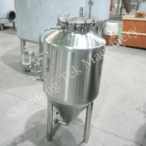 Shandong Tek Machinery 100L Beer Fermentation Tank