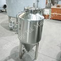 Shandong Tek Machinery 100L Beer Fermentation Tank