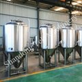 10 BBL Beer Fermenter China Manufacturer