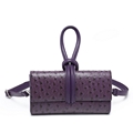 Middle East hot sale ostrich-print female purse