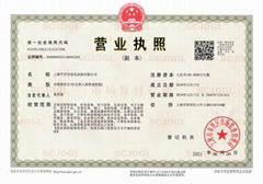 Shanghai Pingkai Automation Equipment Co., Ltd
