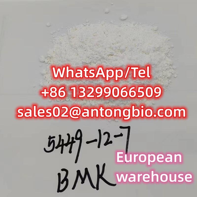 BMK Glycidic Acid (sodium salt) Cas 5449-12-7 European warehouse 2
