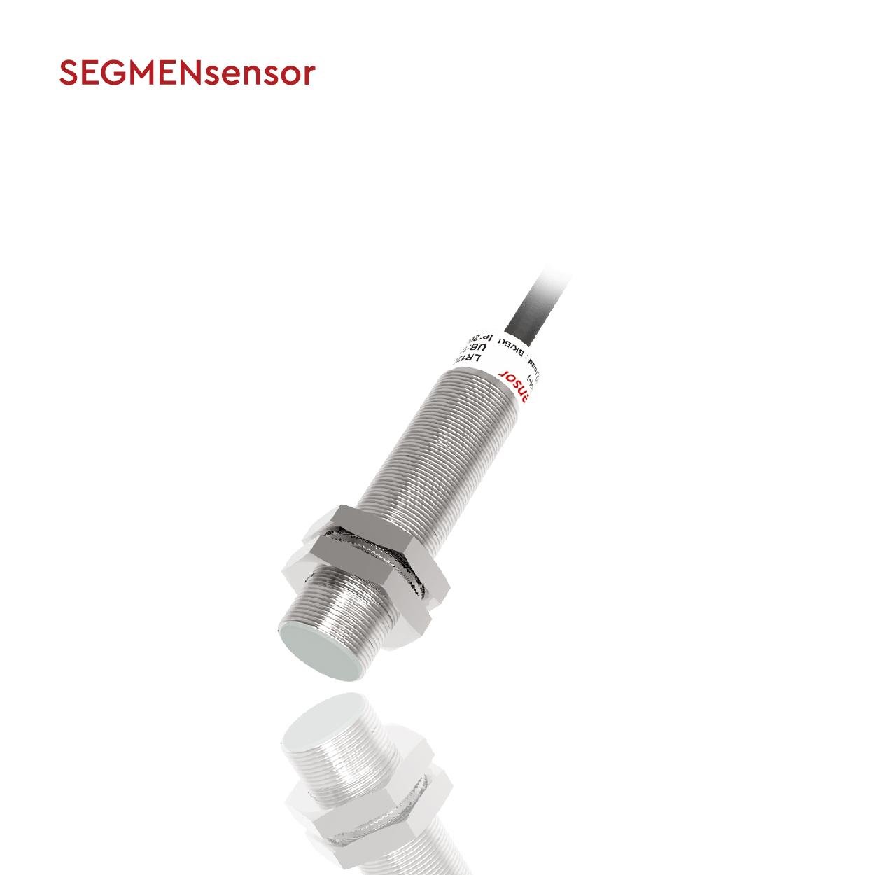 Segmensensor Inductive Sensor Extended Temperature LR12X
