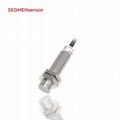 Segmensensor Inductive Sensor Extended Temperature LR12X 1