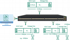 Network Packet Broker(NPB) 6*40/100G QSFP28 + 48*10/25G SFP28, Max 1.8Tbps