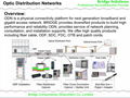 Optic Distribution Networks 1