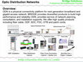 Optic Distribution Networks