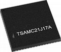TI微控制器ATSAMC21J17A 1