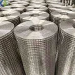 Stainless Steel Welded Mesh