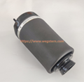 1643206013 Hot Selling Air Spring for W164 ML GL350 ML500 4