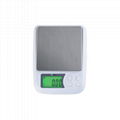 BDS-DM3Good Quality Scales High Precise Digital Food Weighing  1