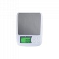 BDS-DM3Good Quality Scales High Precise Digital Food Weighing 