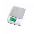 BDS-DM3Good Quality Scales High Precise Digital Food Weighing  2