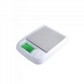 BDS-DM3Good Quality Scales High Precise Digital Food Weighing  3