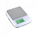 BDS-DM3Good Quality Scales High Precise Digital Food Weighing  4