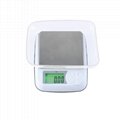 BDS-DM3Good Quality Scales High Precise Digital Food Weighing 