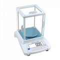 BDS-PN-A Laboratory Analytical Electronic Balance 2