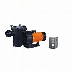 216v 2200w, 3HP brushless dc solar powered swimming pool filter pumps