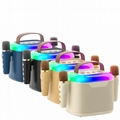 Portable speaker with microphone 3