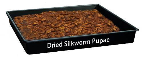 Dried Mealworms 4