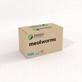 Dried Mealworms 5