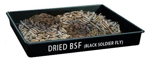 Dried Bsfl(Black Solder Fly)