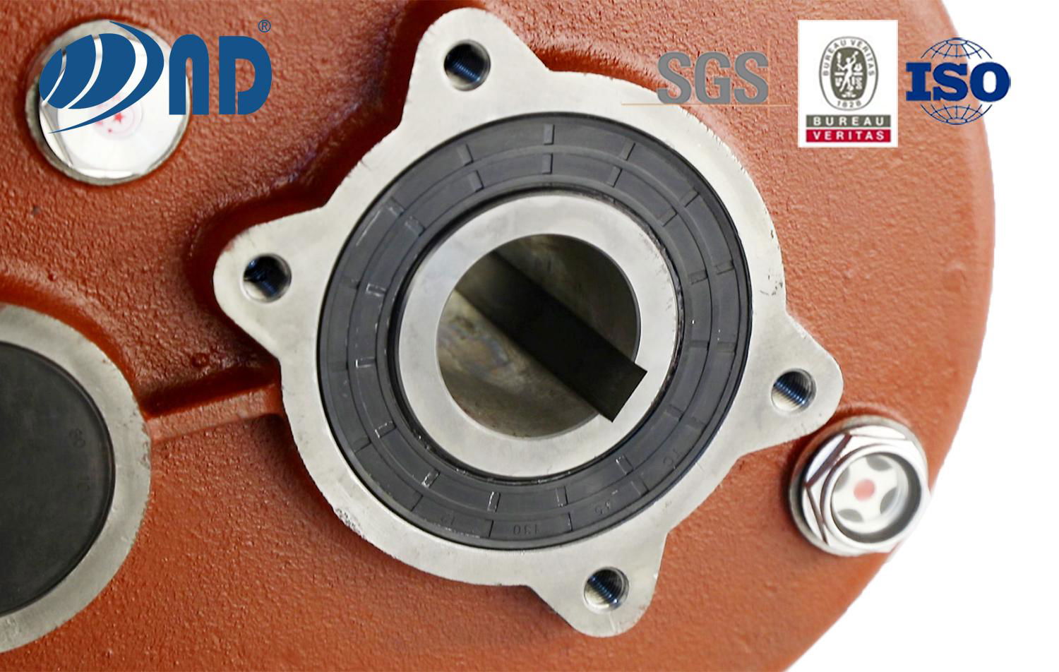 ND Italy High Output Helical Agricultural Machine Different Conveyors