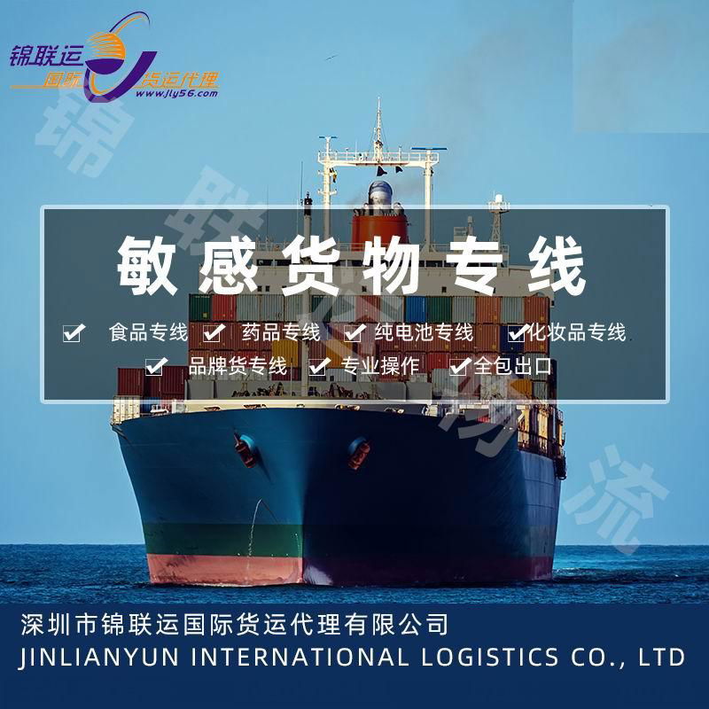 国际海运DDP专线可接仿牌 保健品 双清包税到门 国际货运代理 3