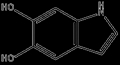 5,6-DIHYDROXYINDOLE 2