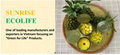 Canned pineapple/ ananas/ нанасы in