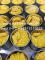 Canned pineapple/ ananas/ нанасы in slice/tibdits/pizza cut  5