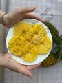 High quality canned pineapple/ ananas/ нанасы in slice/tibdits/pizza cut  2
