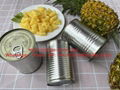 High quality canned pineapple/ ananas/ нанасы in slice/tibdits/pizza cut  3