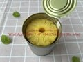 High quality canned pineapple/ ananas/ нанасы in slice/tibdits/pizza cut  4