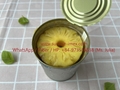 High quality canned pineapple/ ananas/ нанасы in slice/tibdits/pizza cut 