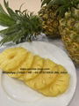 High quality canned pineapple/ ananas/ нанасы in slice/tibdits/pizza cut  5