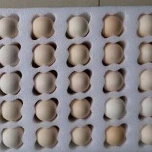 煒業達專業珍珠棉內托 雞蛋包裝內托 防火珍珠棉 防震包裝保護產品