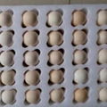 Professional pearl cotton inner tray egg