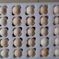 Professional pearl cotton inner tray egg packaging inner tray fireproof pearl co