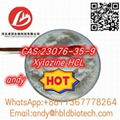 CAS:23076-35-9 Xy-lazine HCL is sold by manufacturers