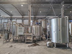 30 bbl Micro brewery system