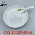 bmk powder / bmk oil CAS 20320-59-6 /