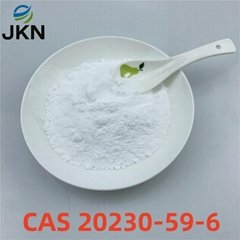 bmk powder / bmk oil CAS 20320-59-6 / BMK Glycidate powder 