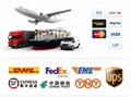 Fast Shipping CAS 1191237-69-0 GS-441524 